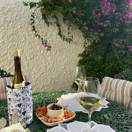 招待所 Flowers & Faces 蓬德利马